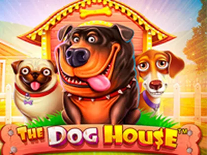 Cats jogo