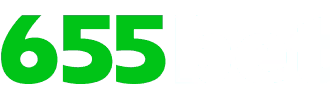 Dardos profissional - Bet505
