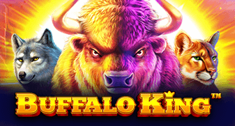 Jogos ao vivo grátis